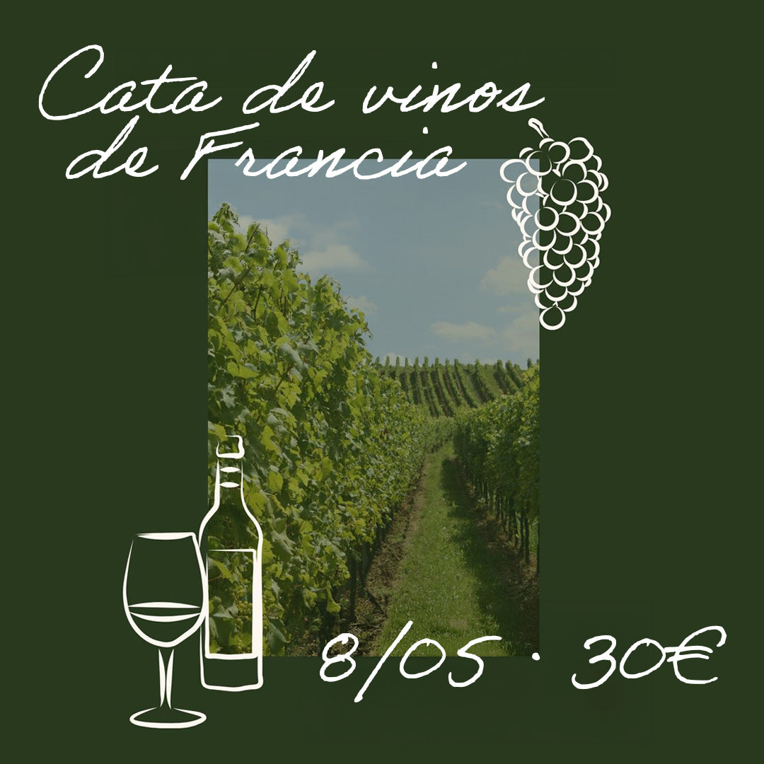 CATA 08/05 · Vinos de Francia