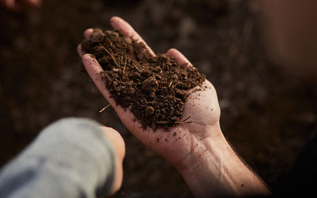 Vinos que cuidan la Tierra: Guía de Viticultura Biodinámica y Natural