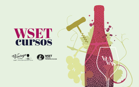 Vuelve el WSET a Vila Vins: cursos oficiales para aprender sobre vino.
