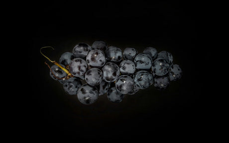 Guía definitiva de vinos y destilados premium para aprovechar el Black Friday