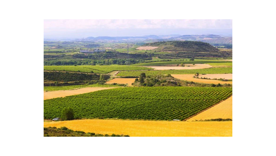 Centenario de la DOCa Rioja: un Siglo de Excelencia Vinícola