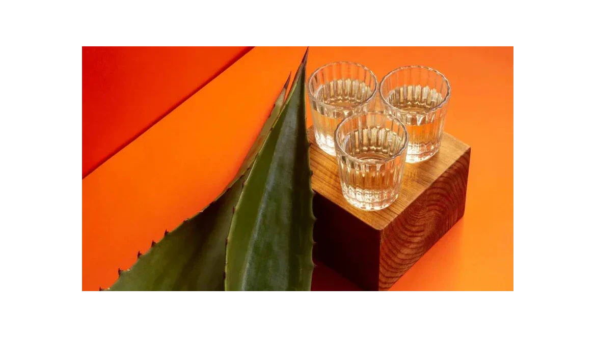 Mezcal y Tequila: Destilados artesanales que están conquistando el mundo