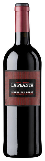 Arzuaga La Planta 2023